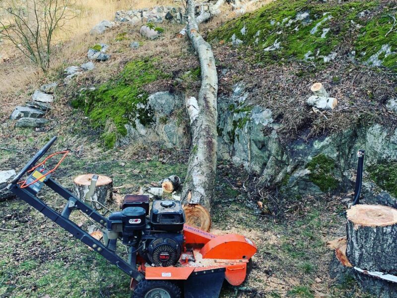 Stubbfräsning i Stockholm