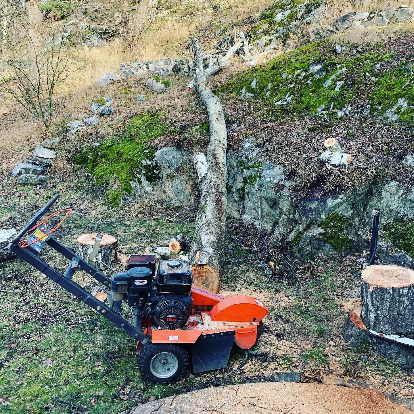 stubbfras Stubbfräsning i Stockholm